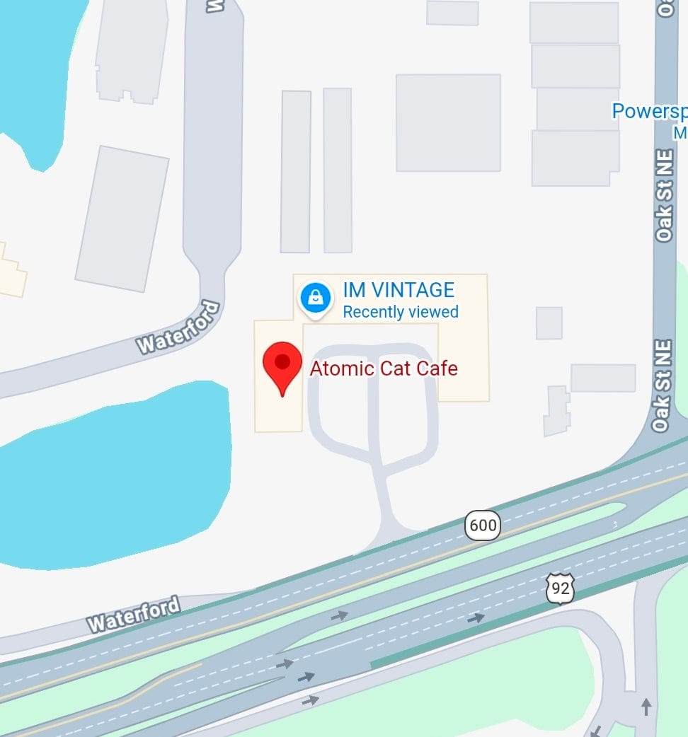 Atomic Cat Cafe photo 7