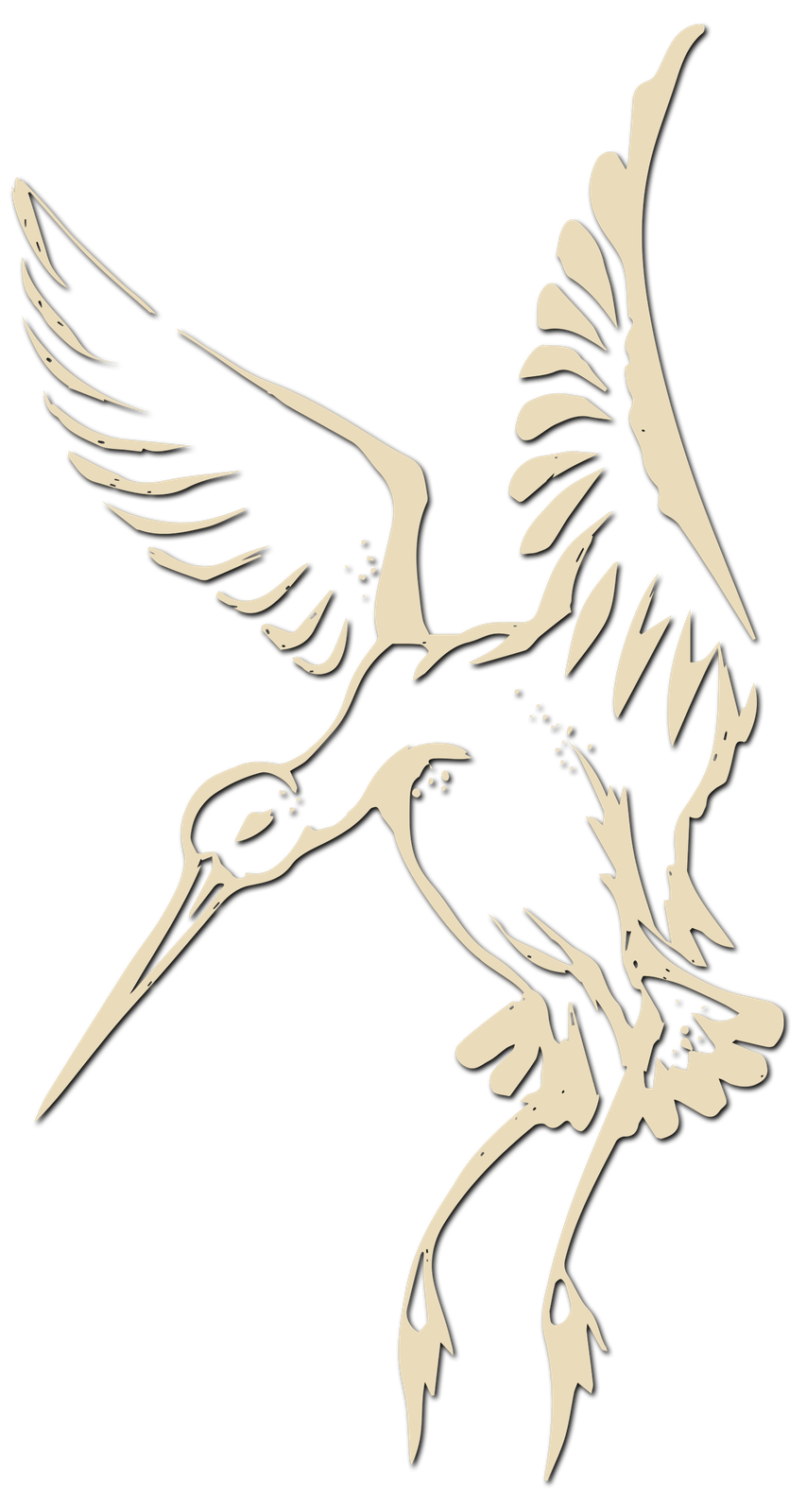 Godwit Coffee photo 3