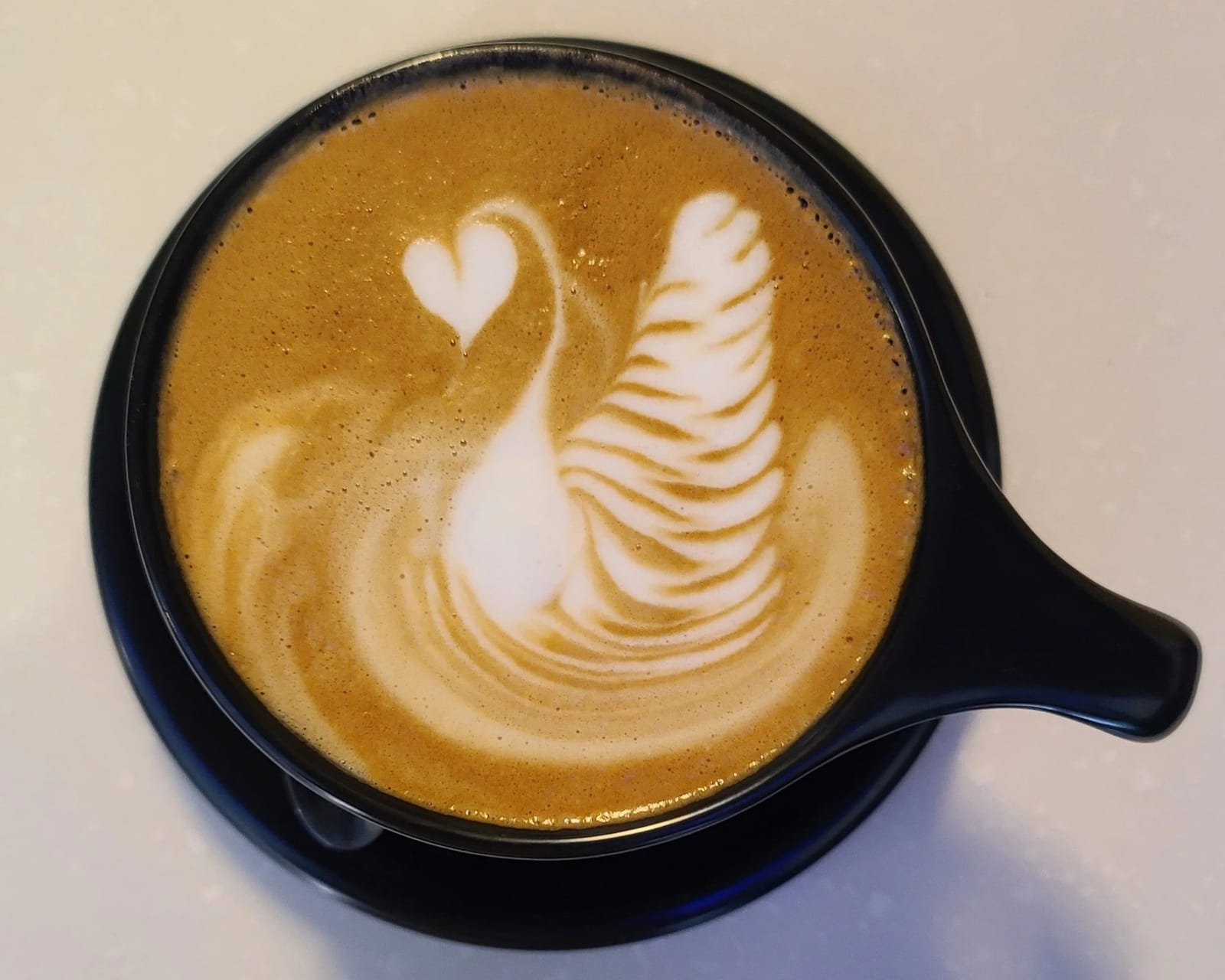 Contra Costa Coffee featuring Ginger's Gelato photo 5