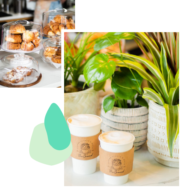 The Ground Coffee, Plants & Gifts photo 9