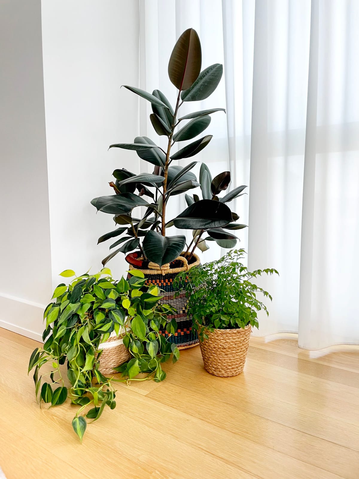 The Ground Coffee, Plants & Gifts photo 2