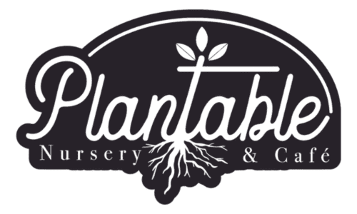 Plantable photo 2