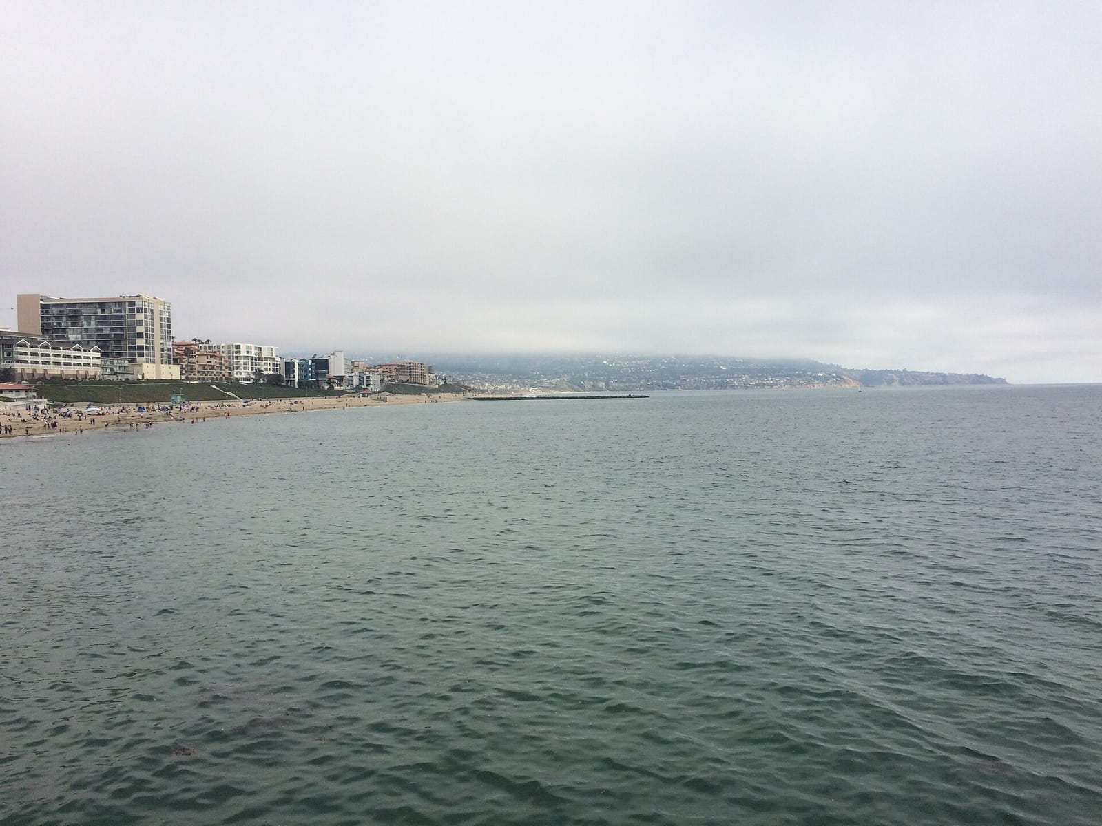 Redondo Coffee Shop and Bait & Tackle Shop photo 5