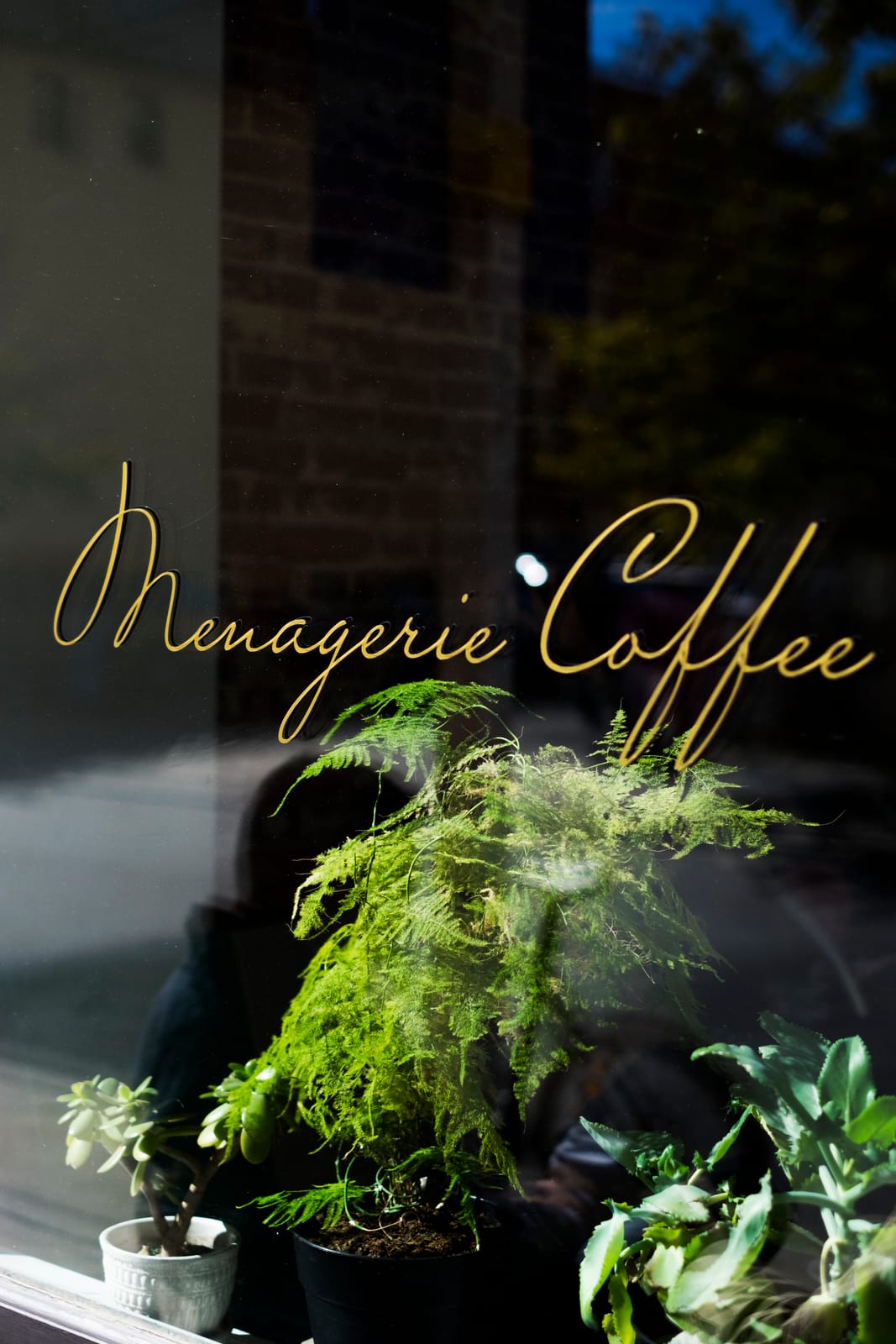Menagerie Coffee photo 4
