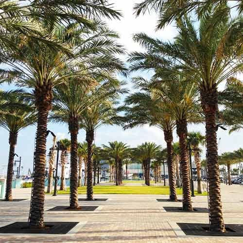 Riviera Beach Marina Village Event Center photo 6