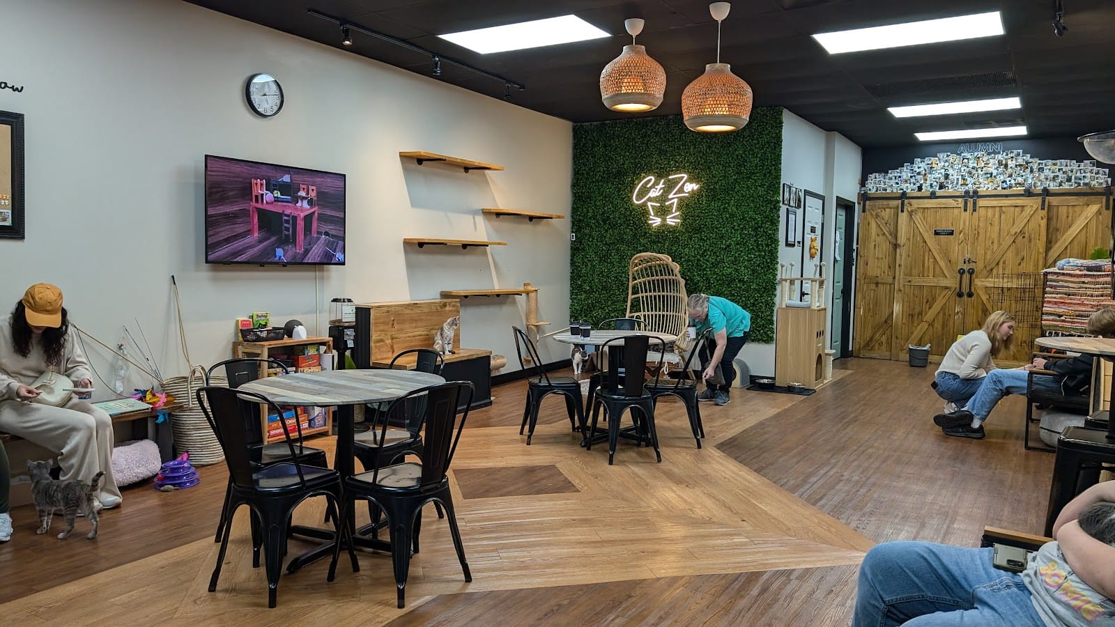 Cat Zen Cafe and Lounge