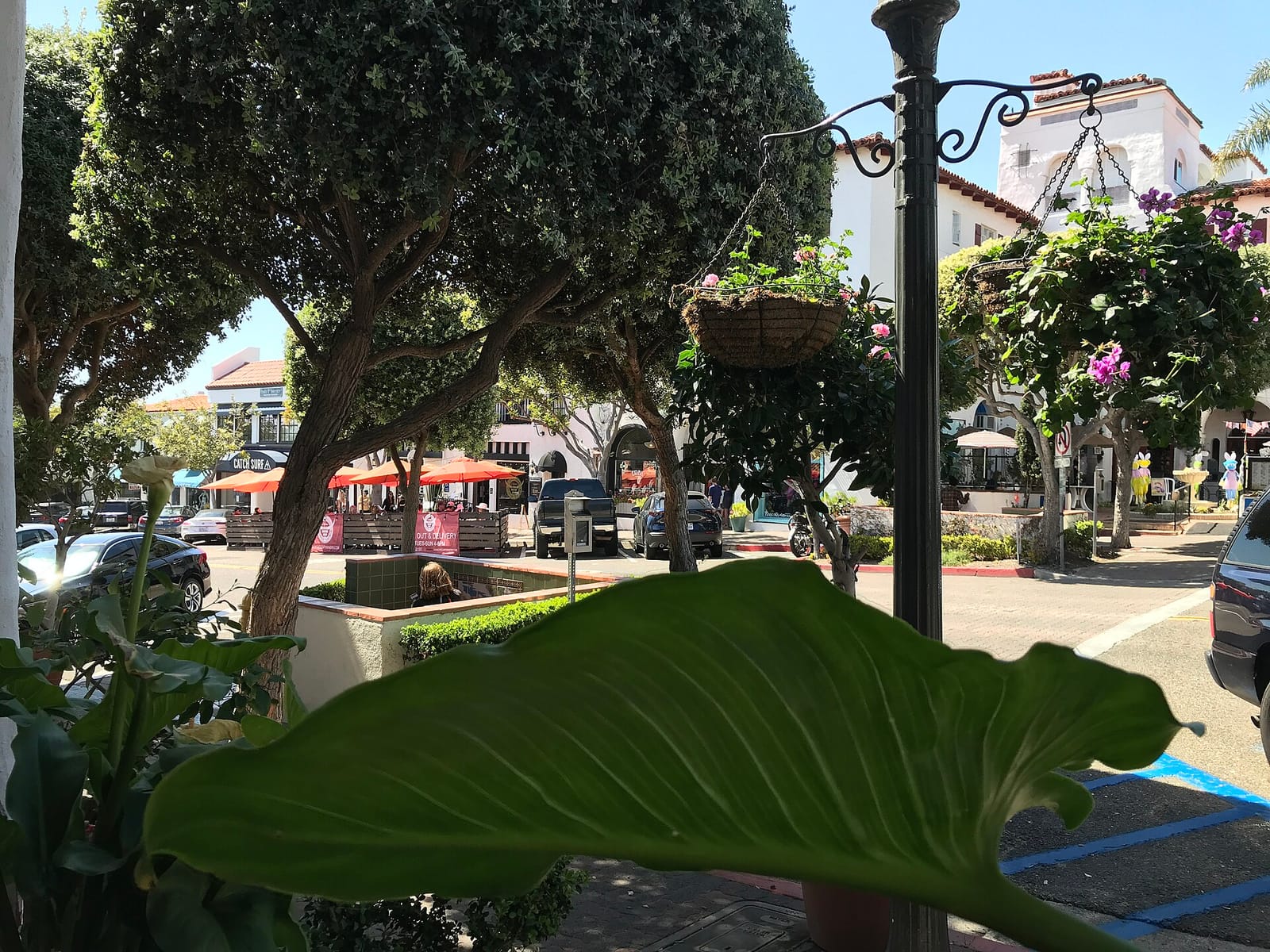 Schmid's of San Clemente Fine Chocolate photo 3