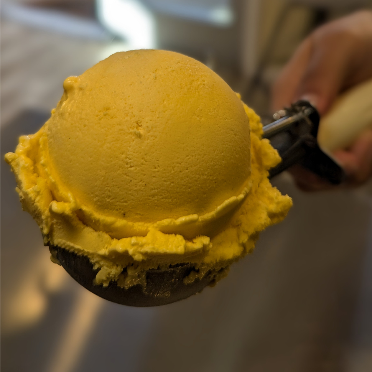 Koolfi Creamery and Cafe photo 6