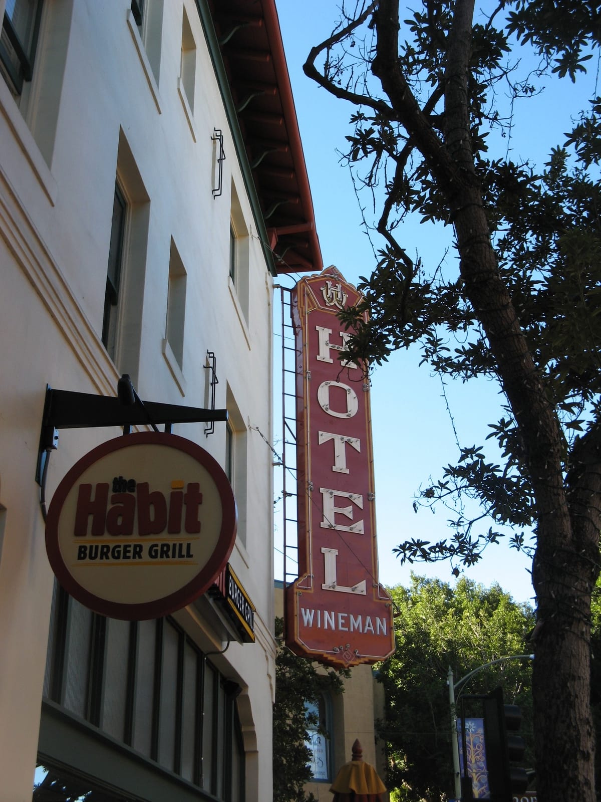 Café Crepes de SLO photo 3
