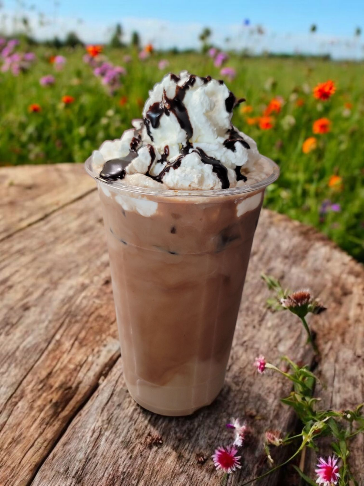 Sound Grounds Coffee Shop & Music Cafè - Sandusky, OH photo 7