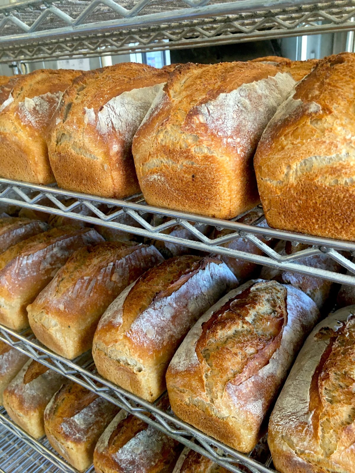 Companion Bakeshop photo 2