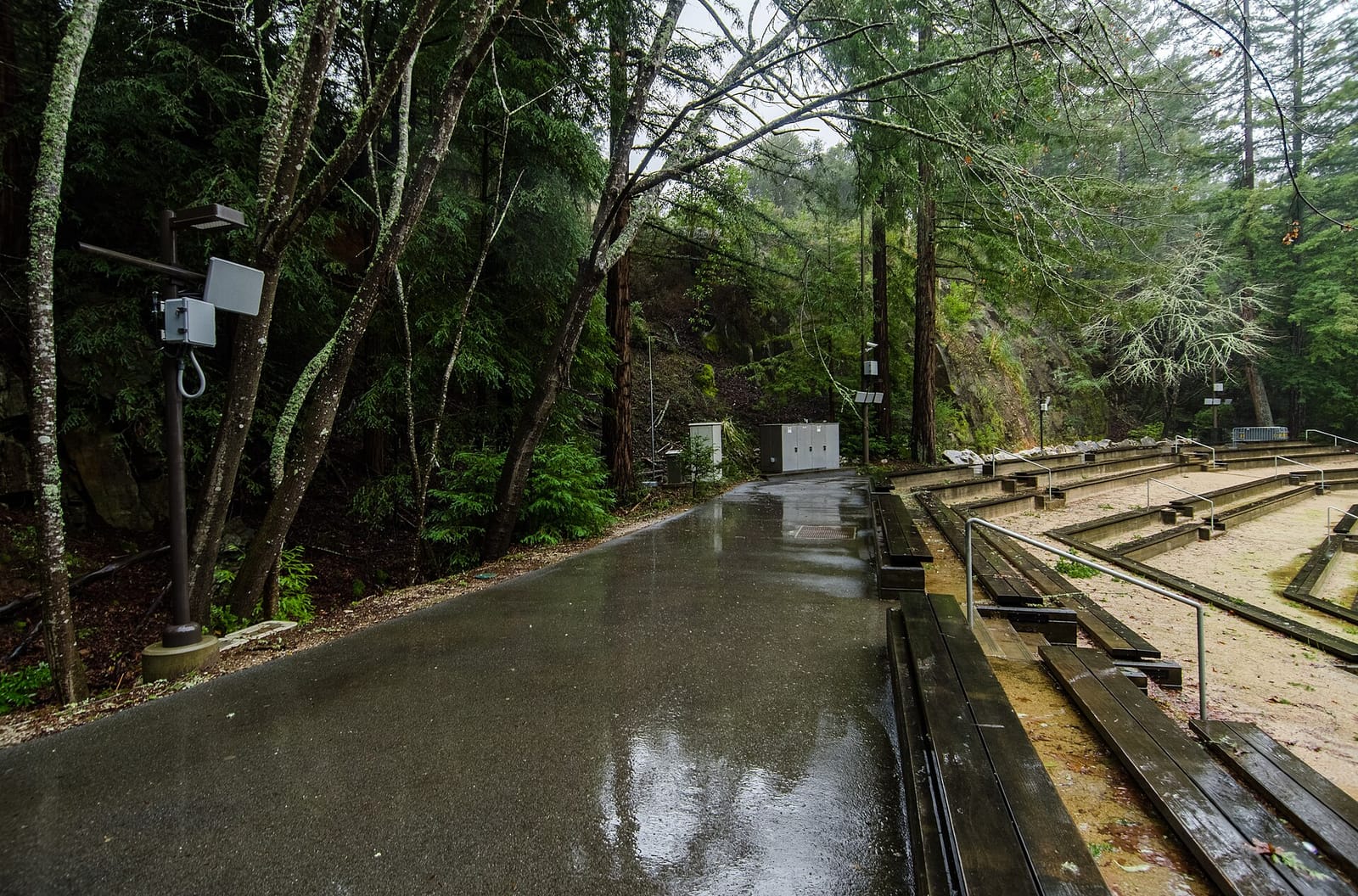 Iveta Campus UCSC photo 2