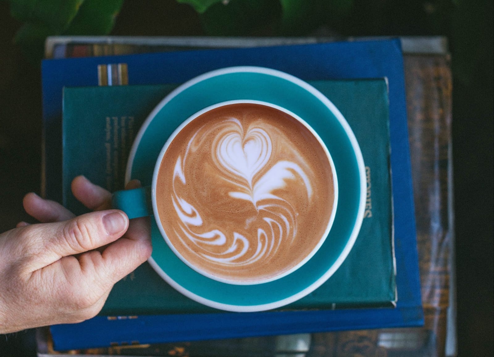 Iconik Coffee Roasters, Lena photo 6
