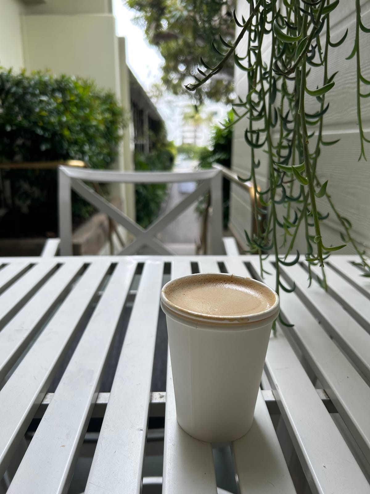 Dogtown Coffee - North