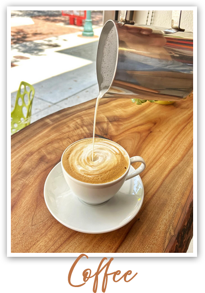Cedar Fox Coffee photo 2