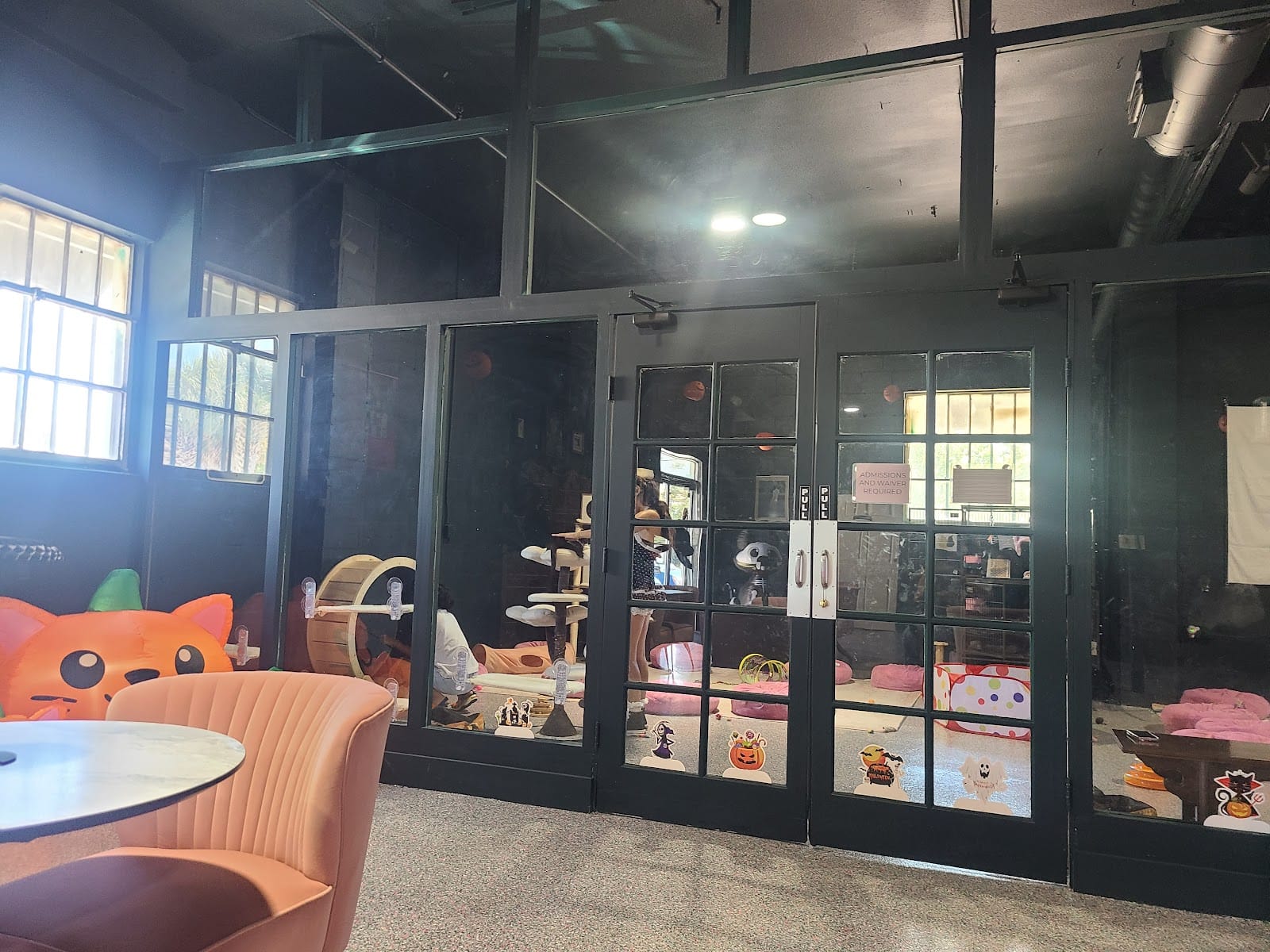 Katy's Cat Cafe