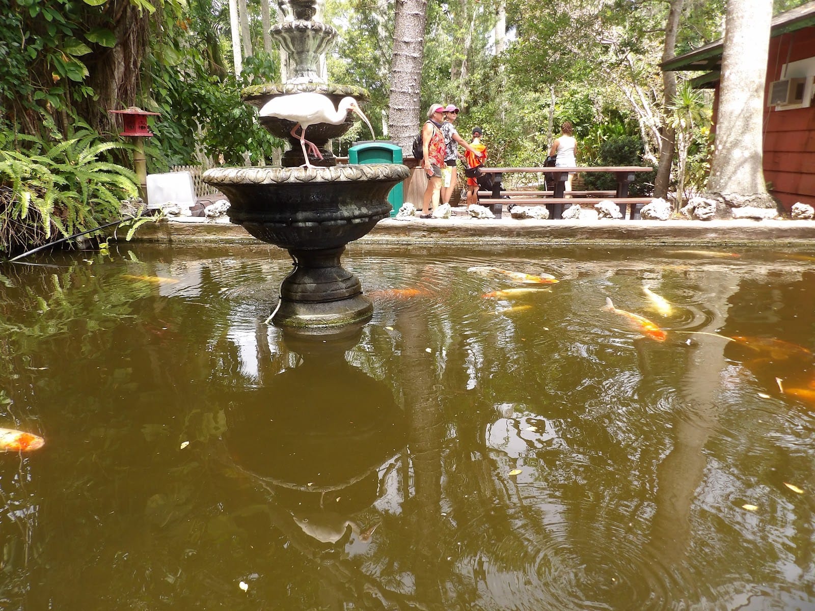 Flamingo Cafe