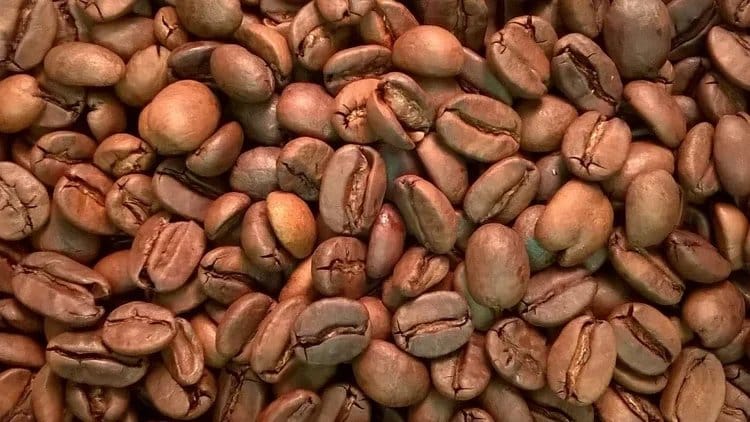 The Coffee Roaster photo 4