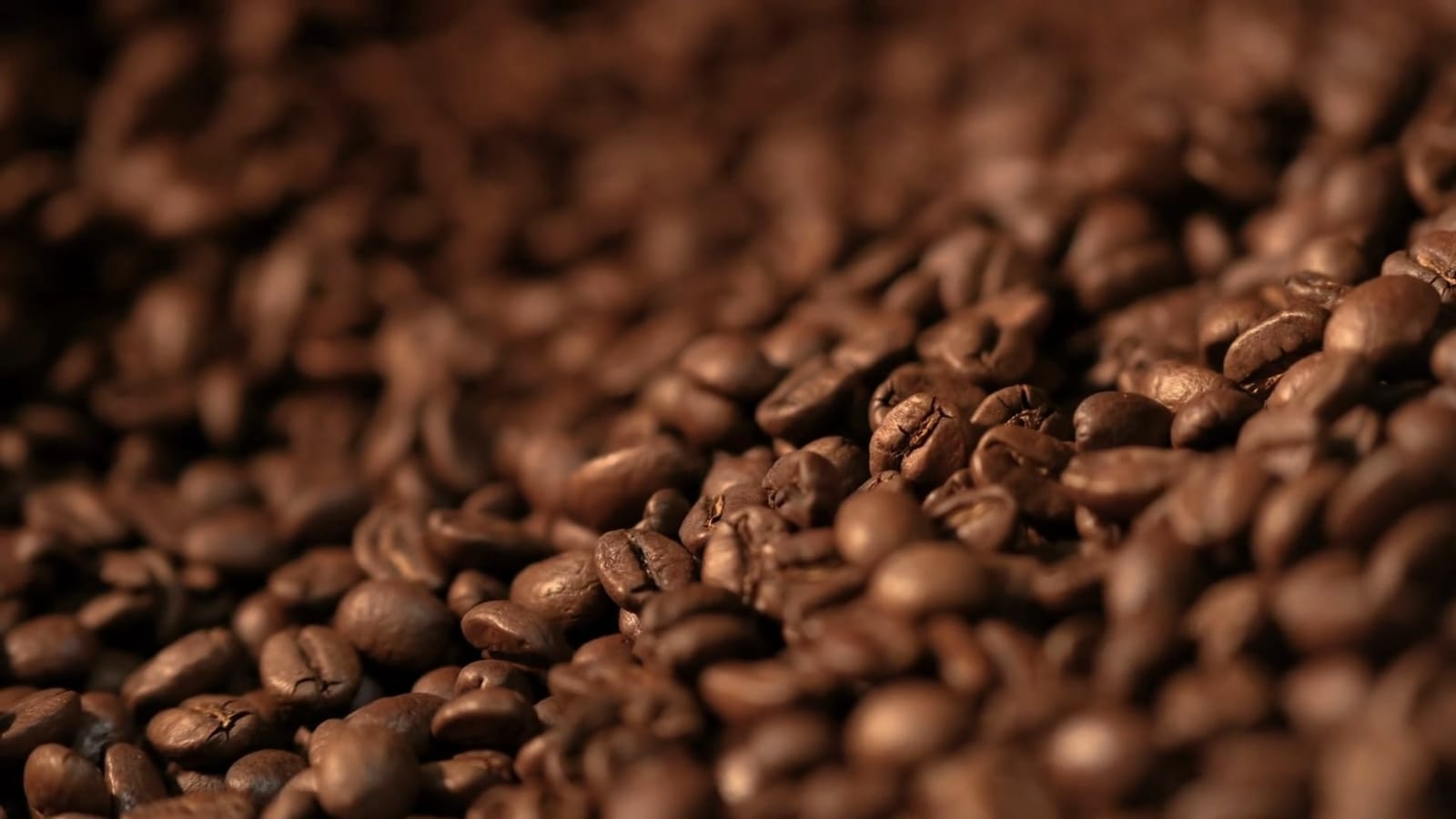 Native Coffee Traders