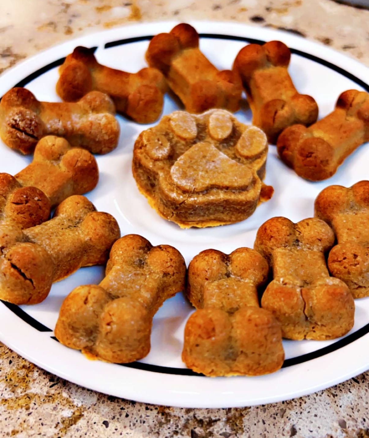 Paw~fect Palate