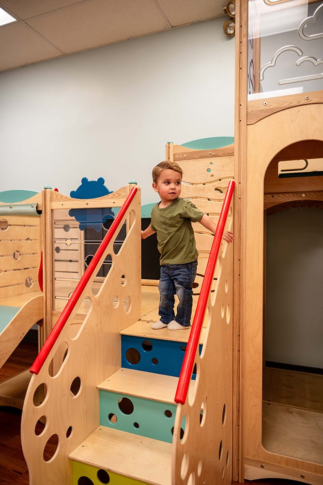 Little Lions Play Den photo 2