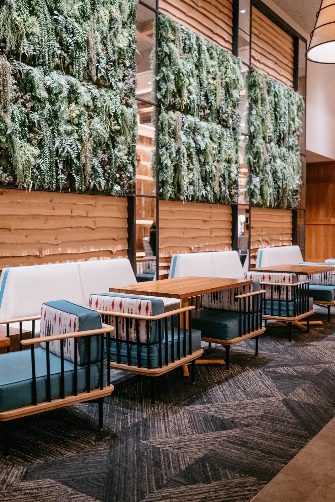Shotted Specialty Coffee (Dulles Town Center) photo 3