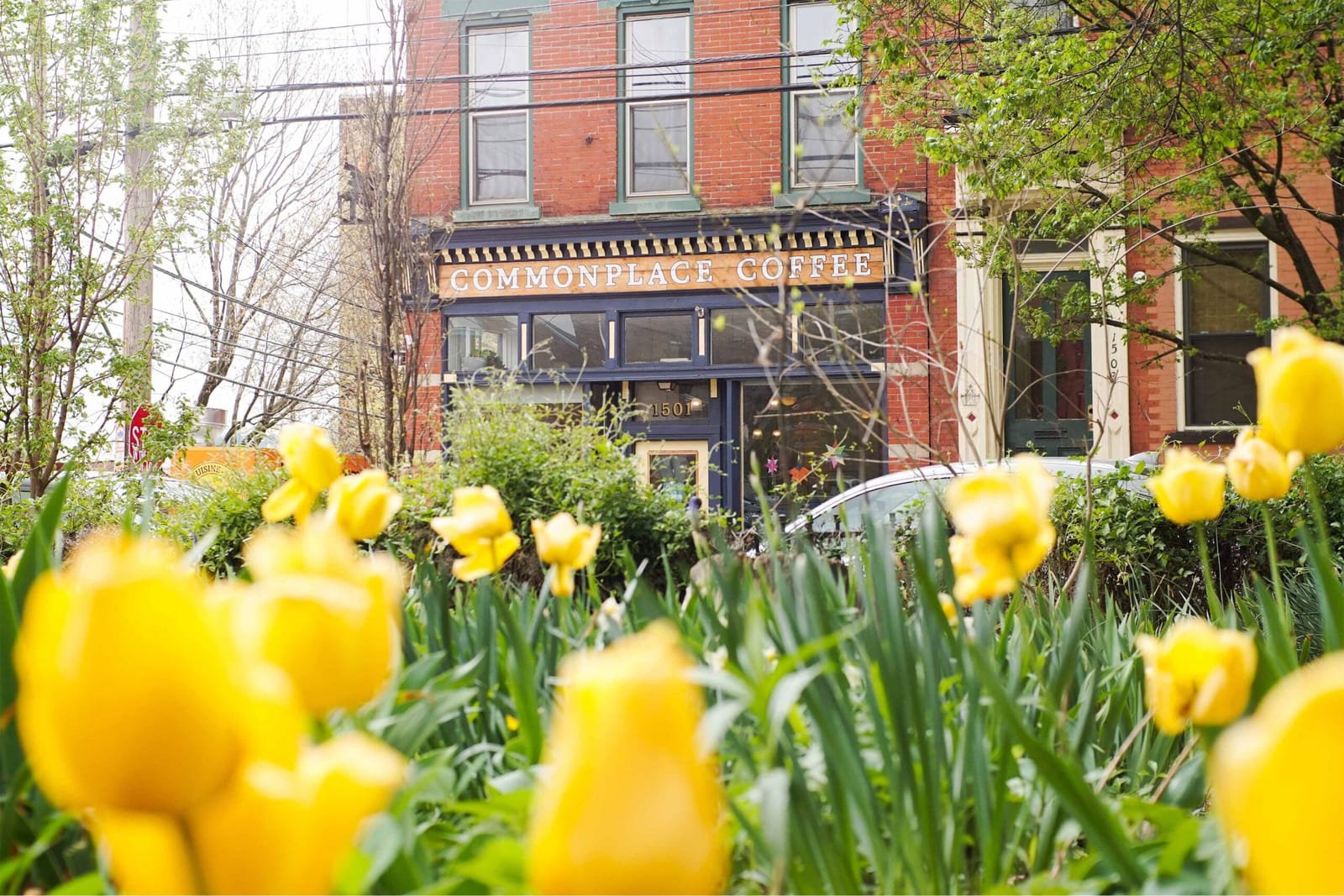 Commonplace Coffee photo 8
