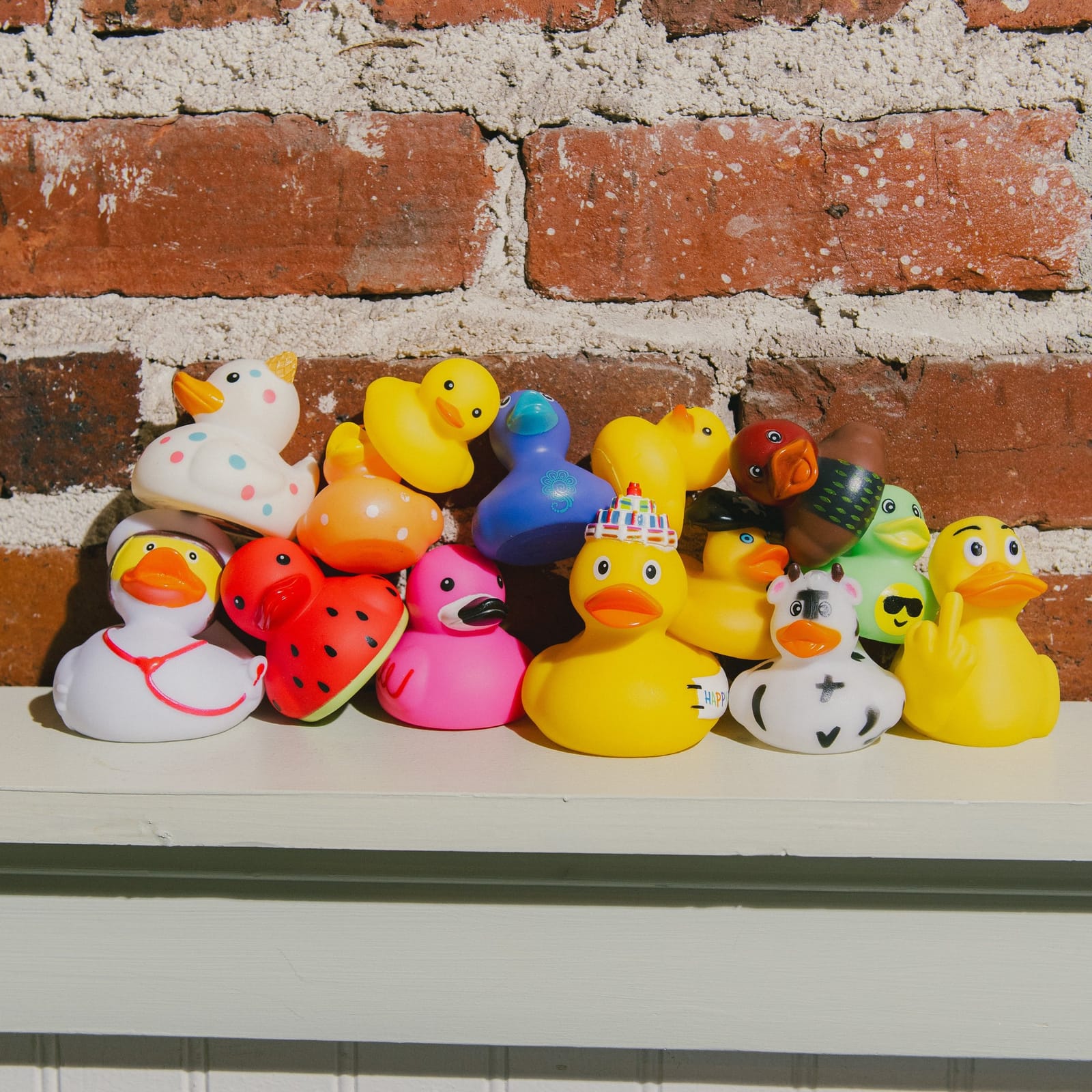 Odd Duck Market Summerville
