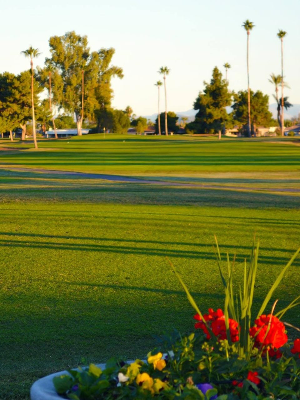Palmbrook Golf Club photo 6