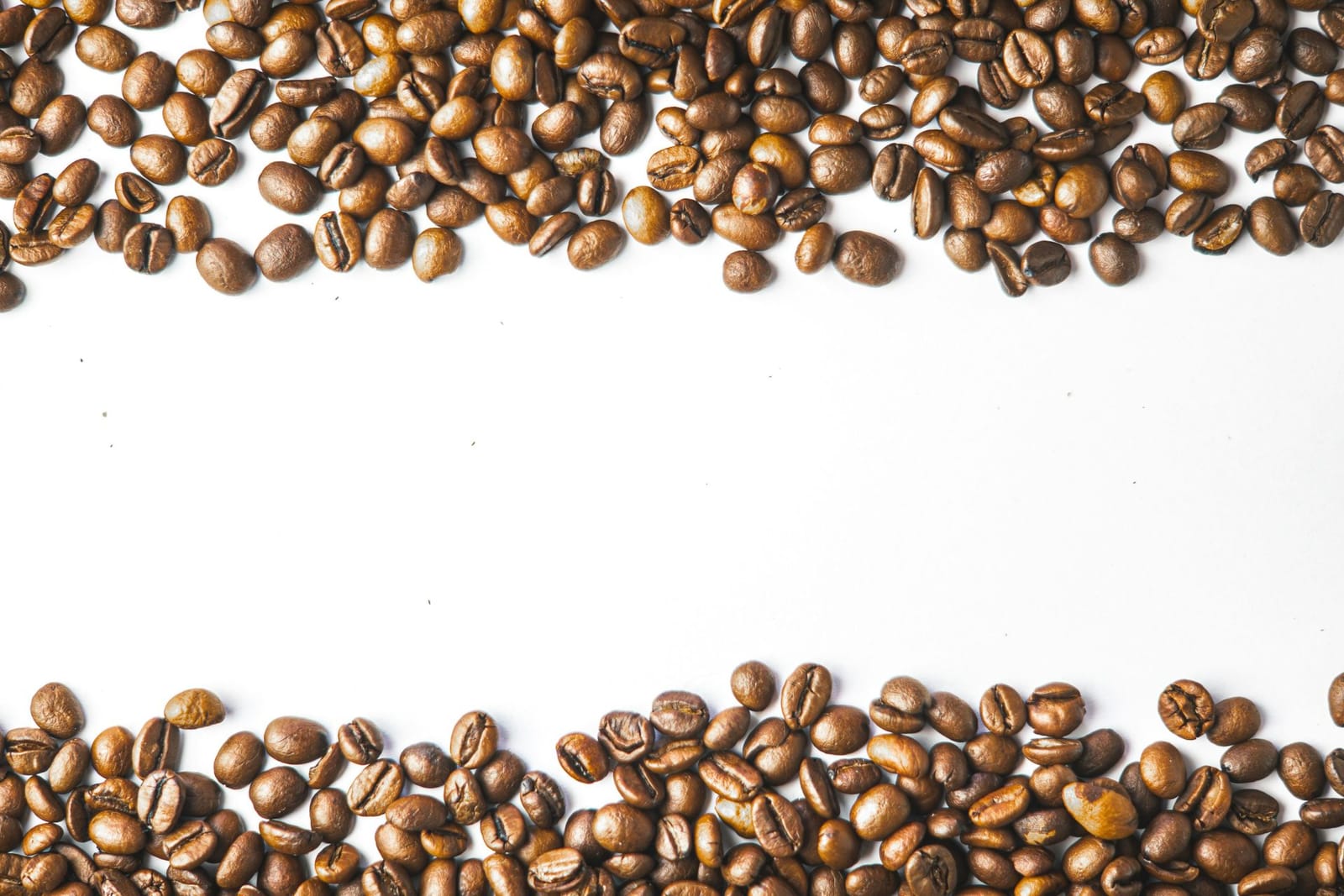 Lenny’s Lab Coffee Co. photo 3