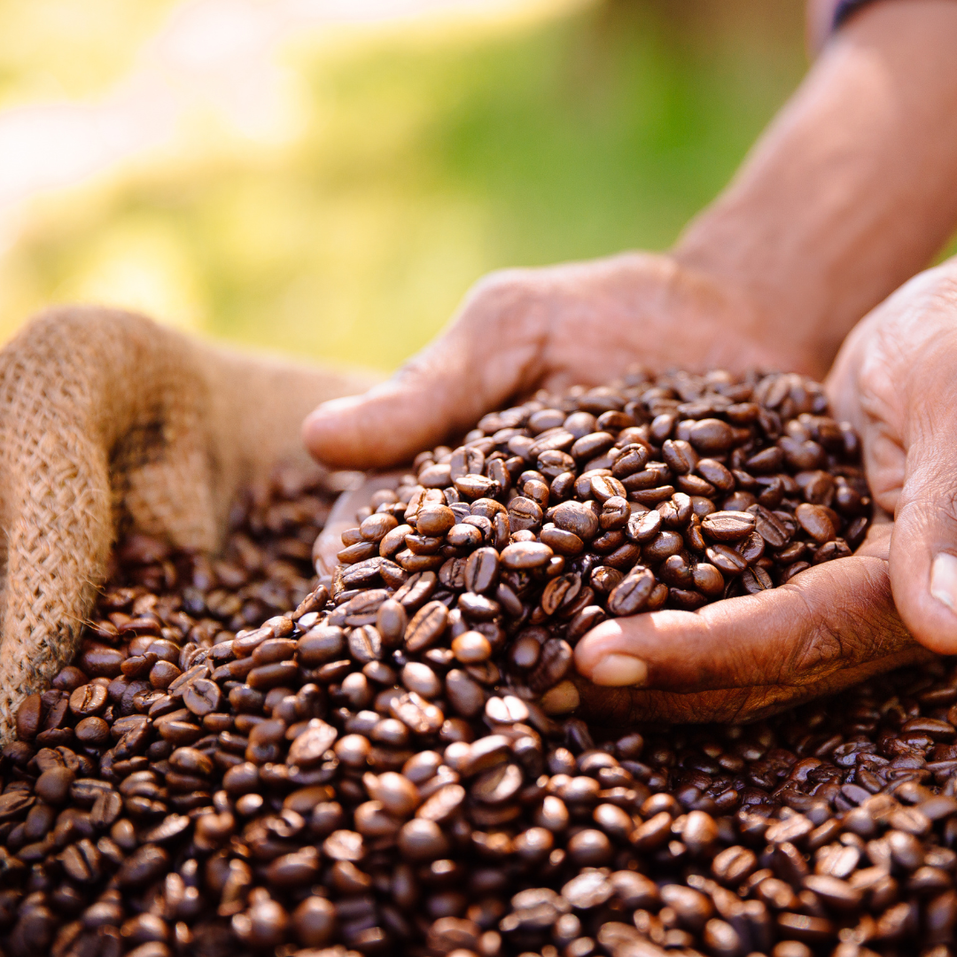 Socotra Yemeni Coffee & Co. photo 6