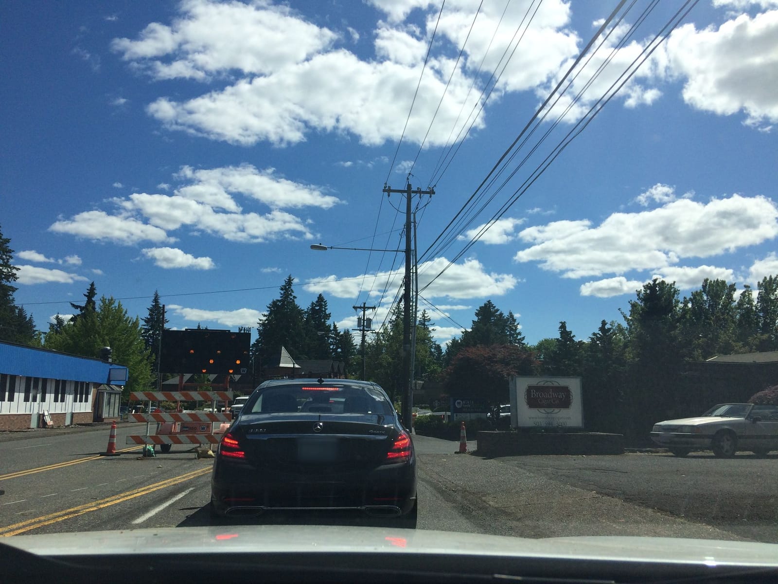 Elephants Lake Oswego