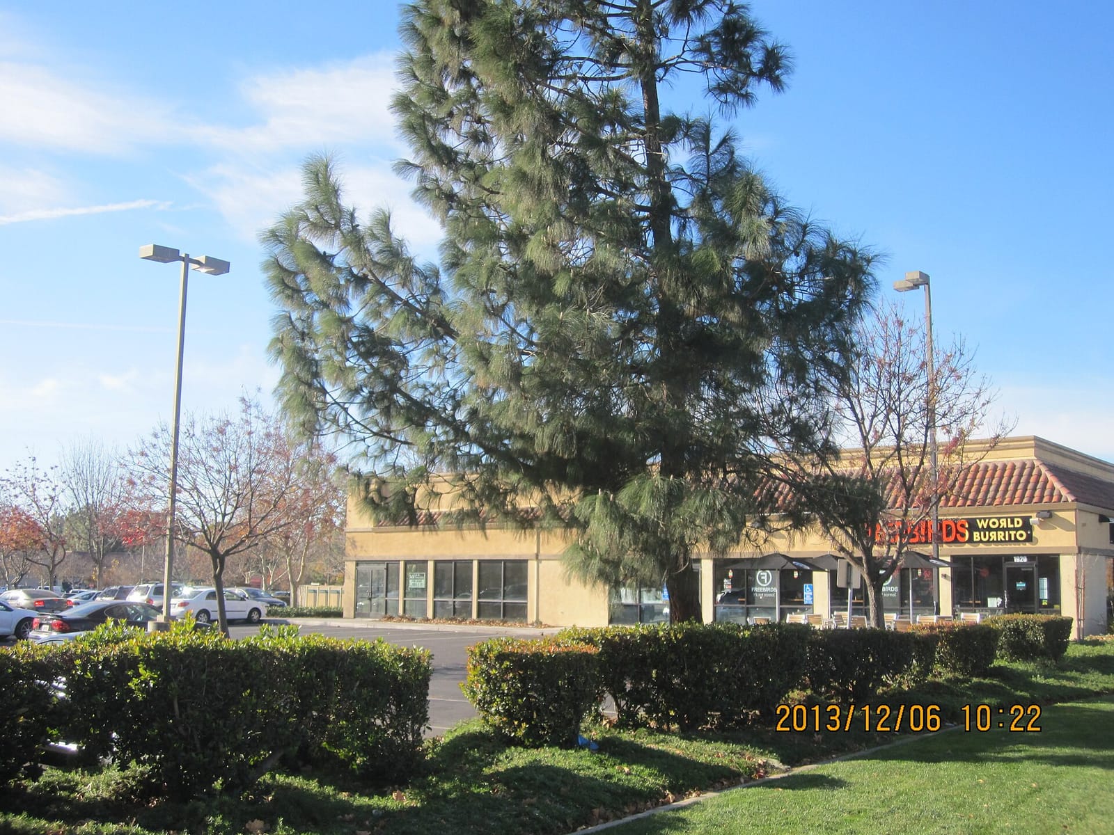 Starbucks Coffee Company photo 3