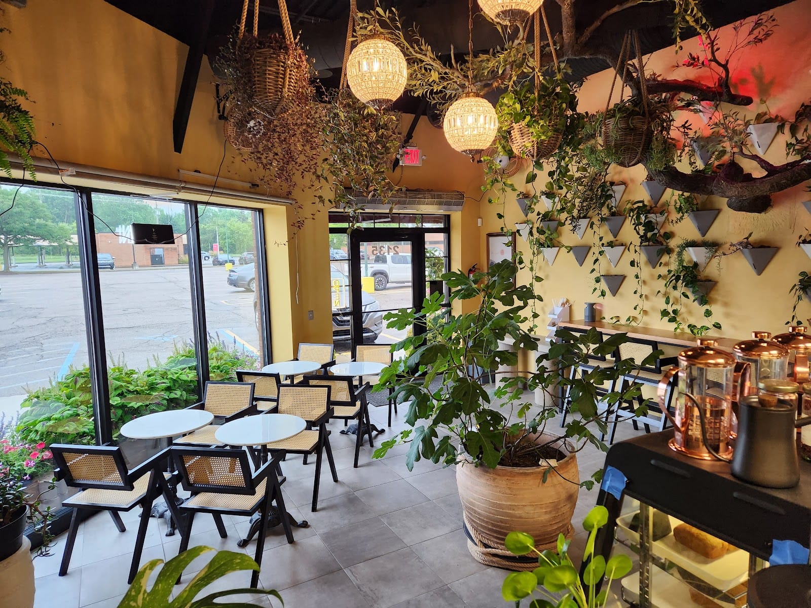 Roots Juice and Coffee Bar