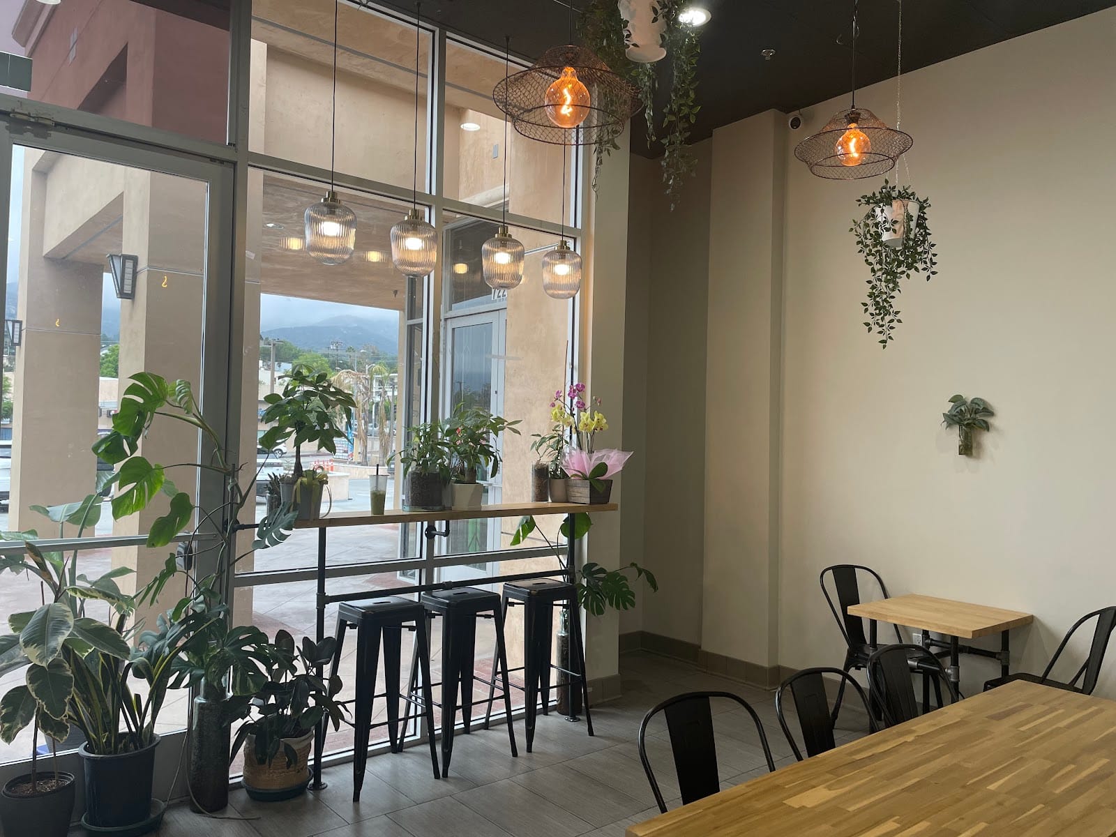 Monstera Boba Cafe