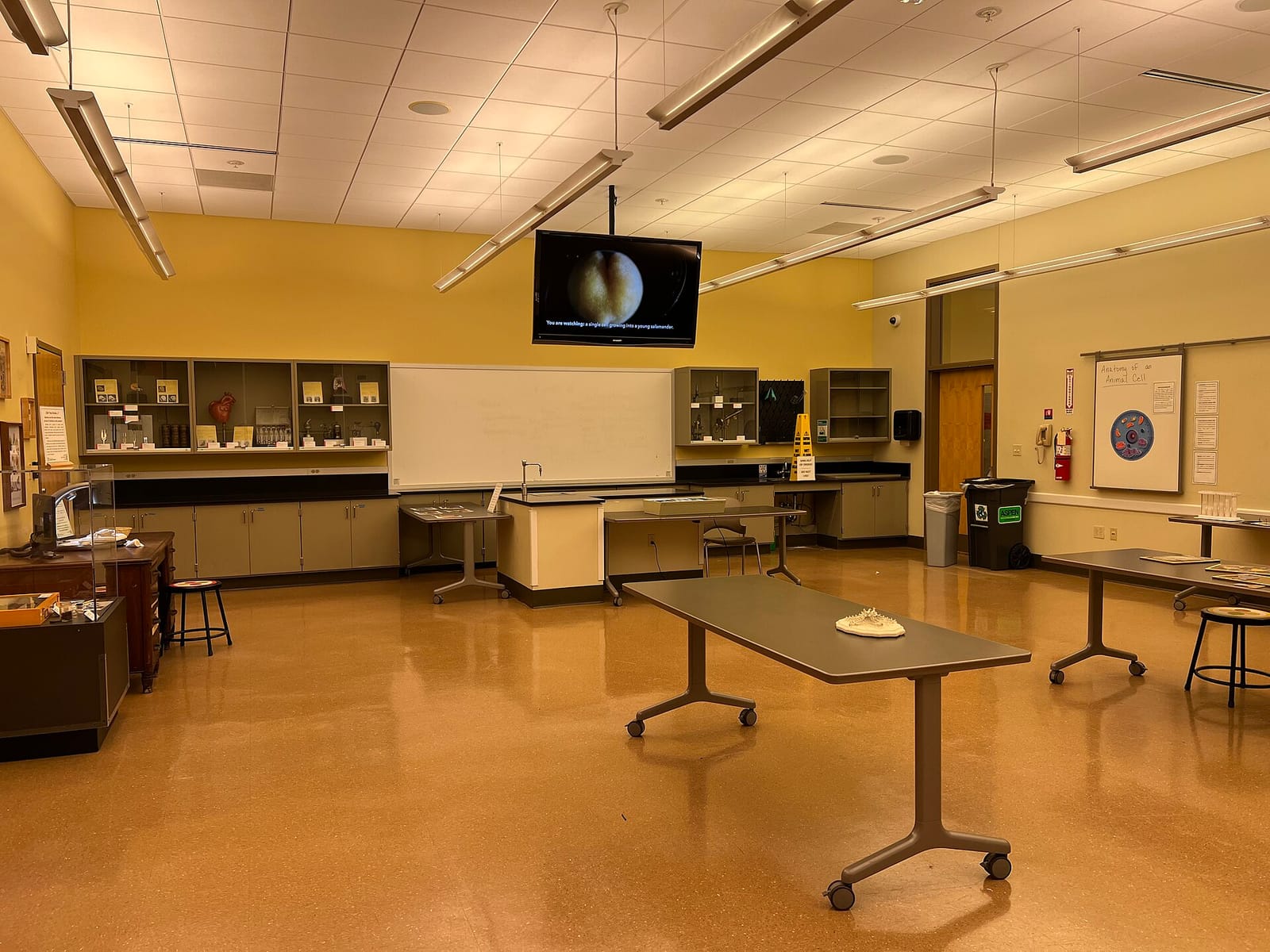 Science Cafe photo 2