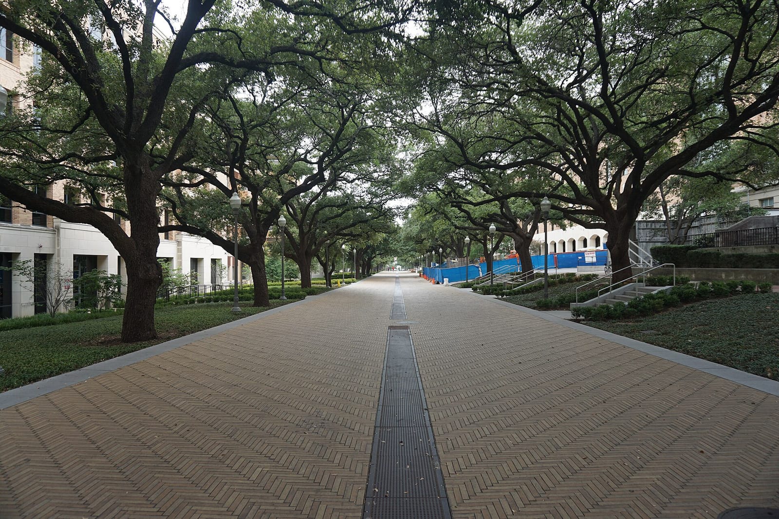 O's Campus Cafe and Catering photo 6