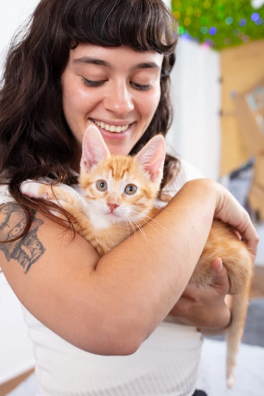 CatCafe Lounge photo 3