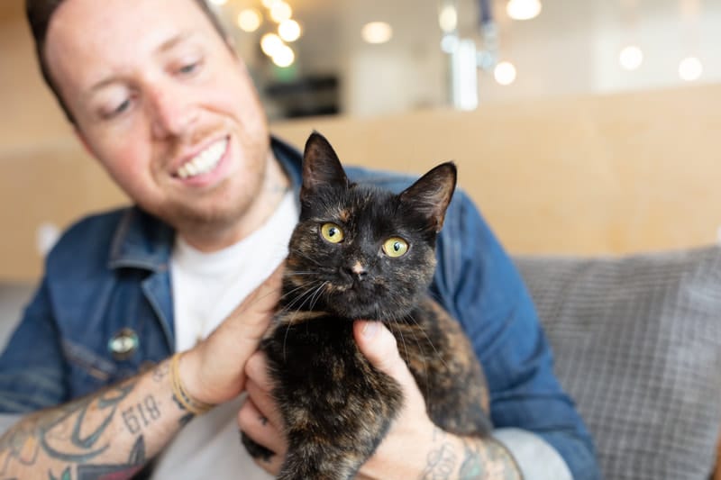 CatCafe Lounge photo 2