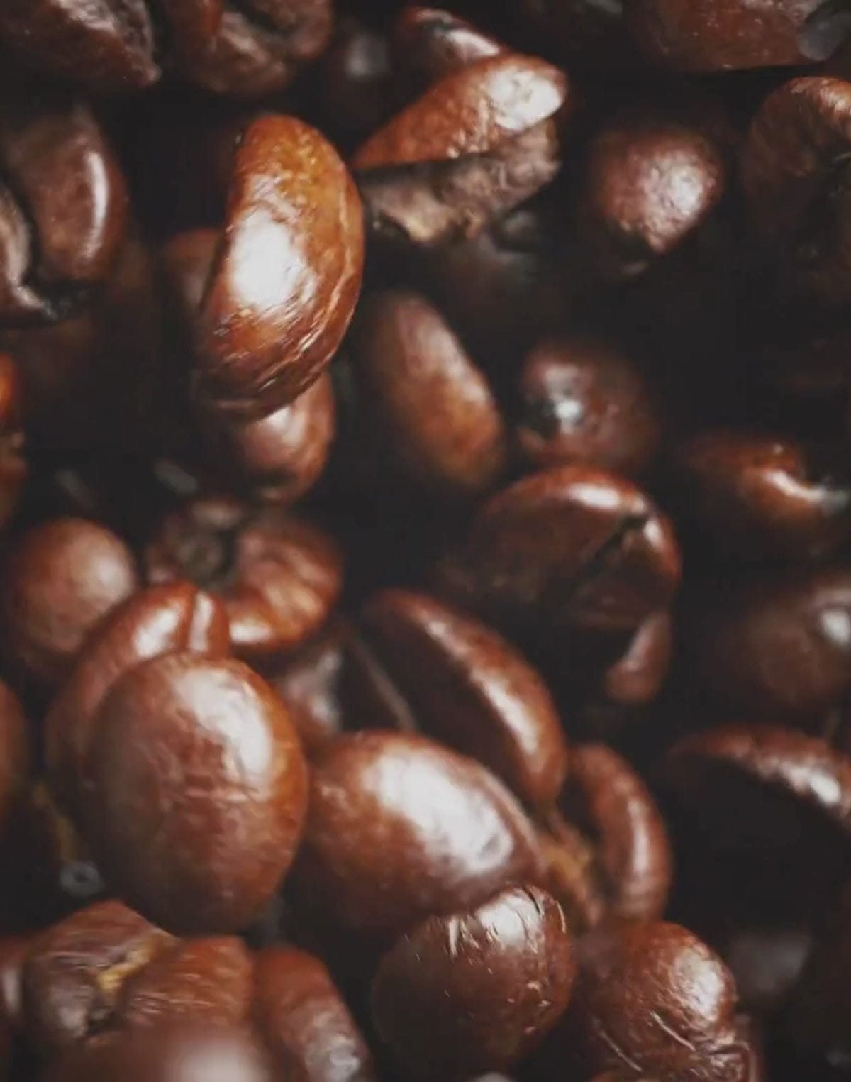 La Colombe Coffee Roasters photo 4