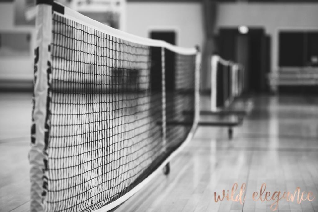 Center Court Sports Complex photo 4