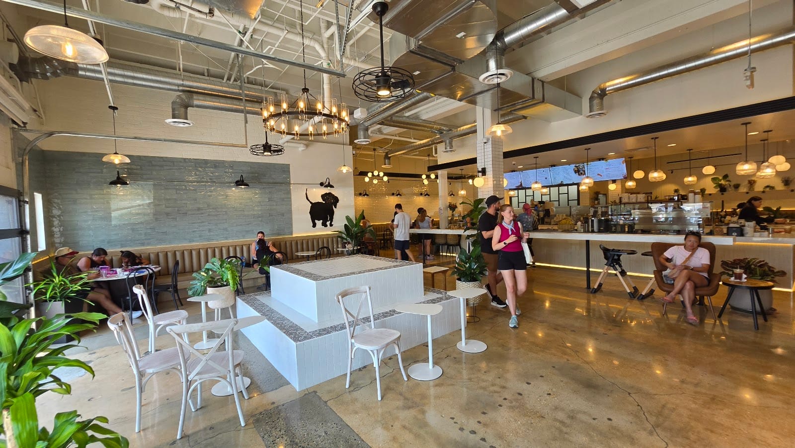 Underdog Coffee and Bread Falls Church