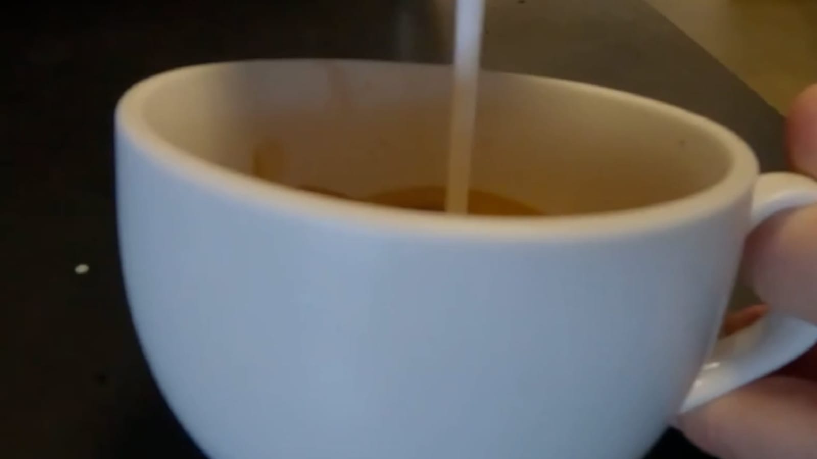 Cafe Kindred
