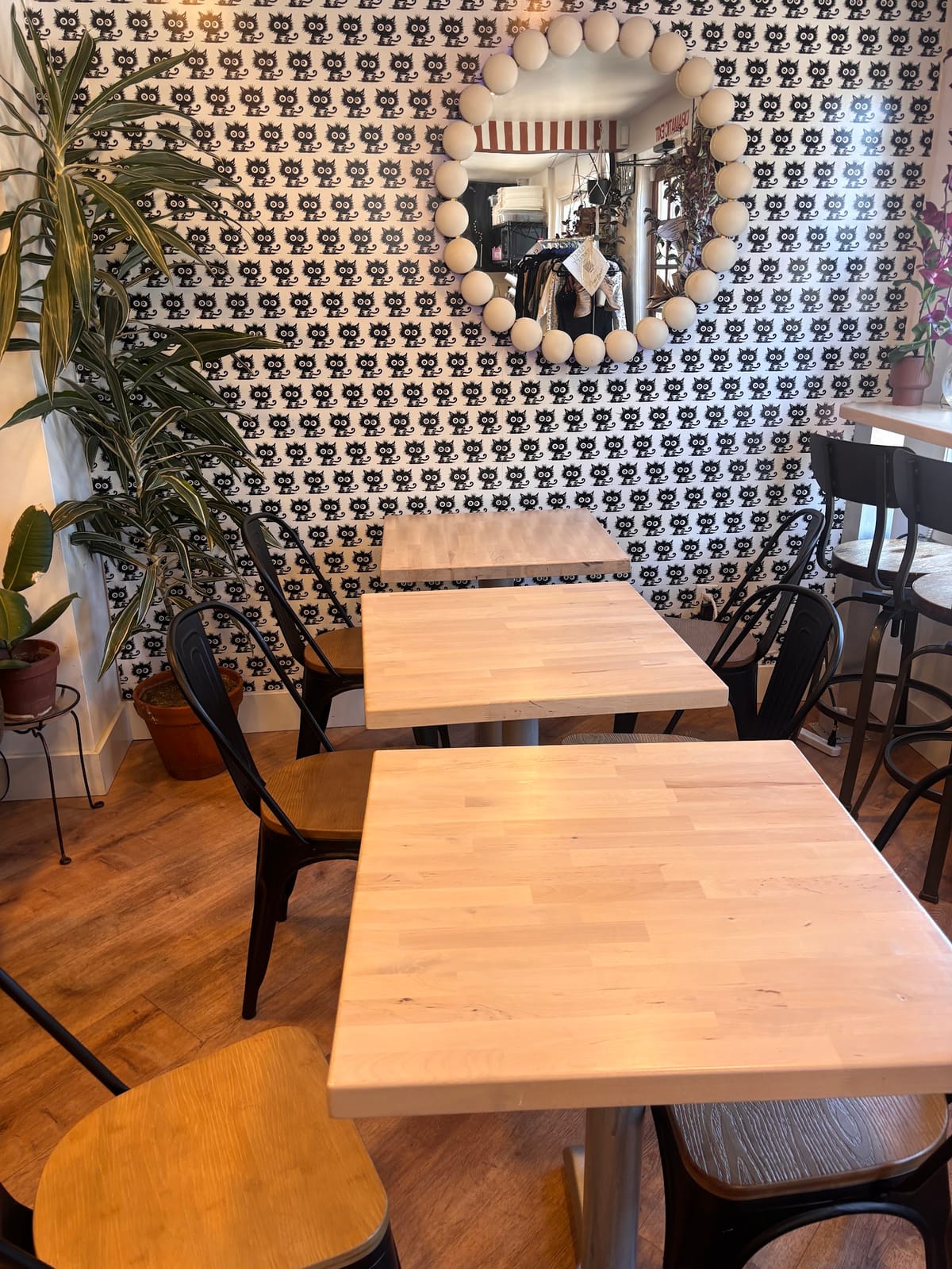 Allicat's Coffee House