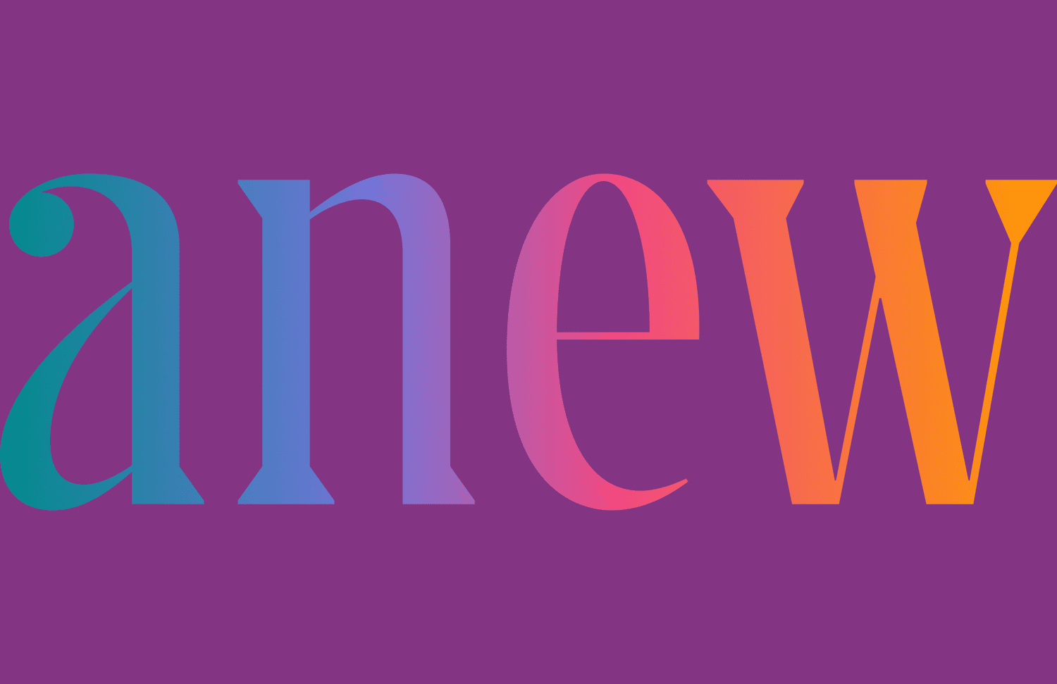 Anew Café & Goods photo 2