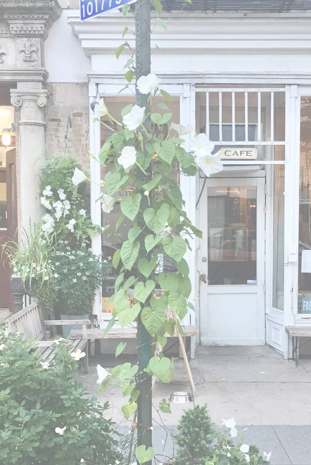 Cafe Panino Mucho Giusto photo 3