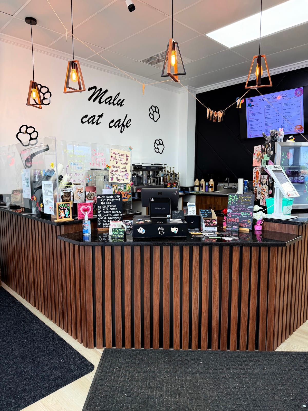 Malu Cat Cafe