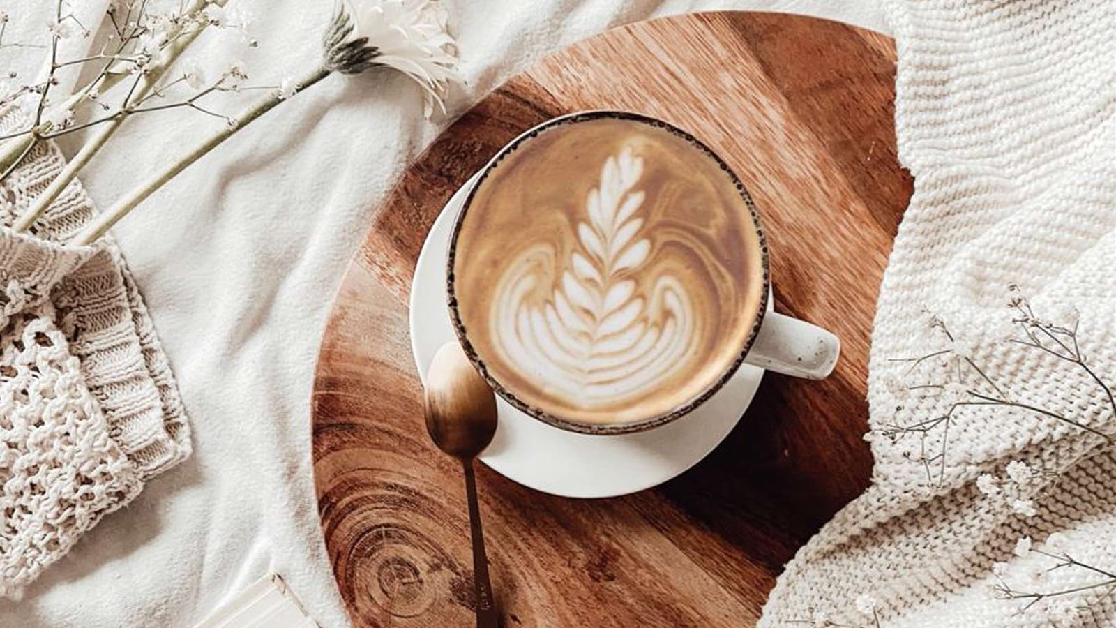 Meg-A-Latte photo 8