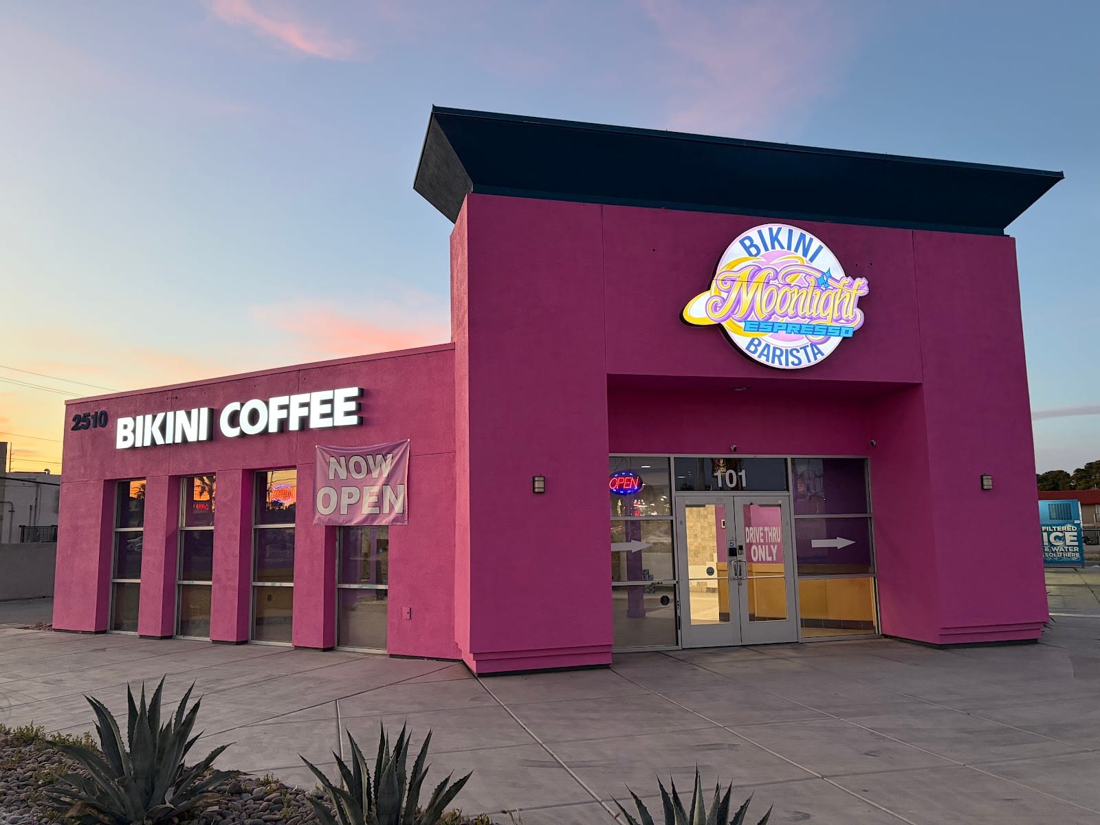 Moonlight Espresso Bikini Coffee