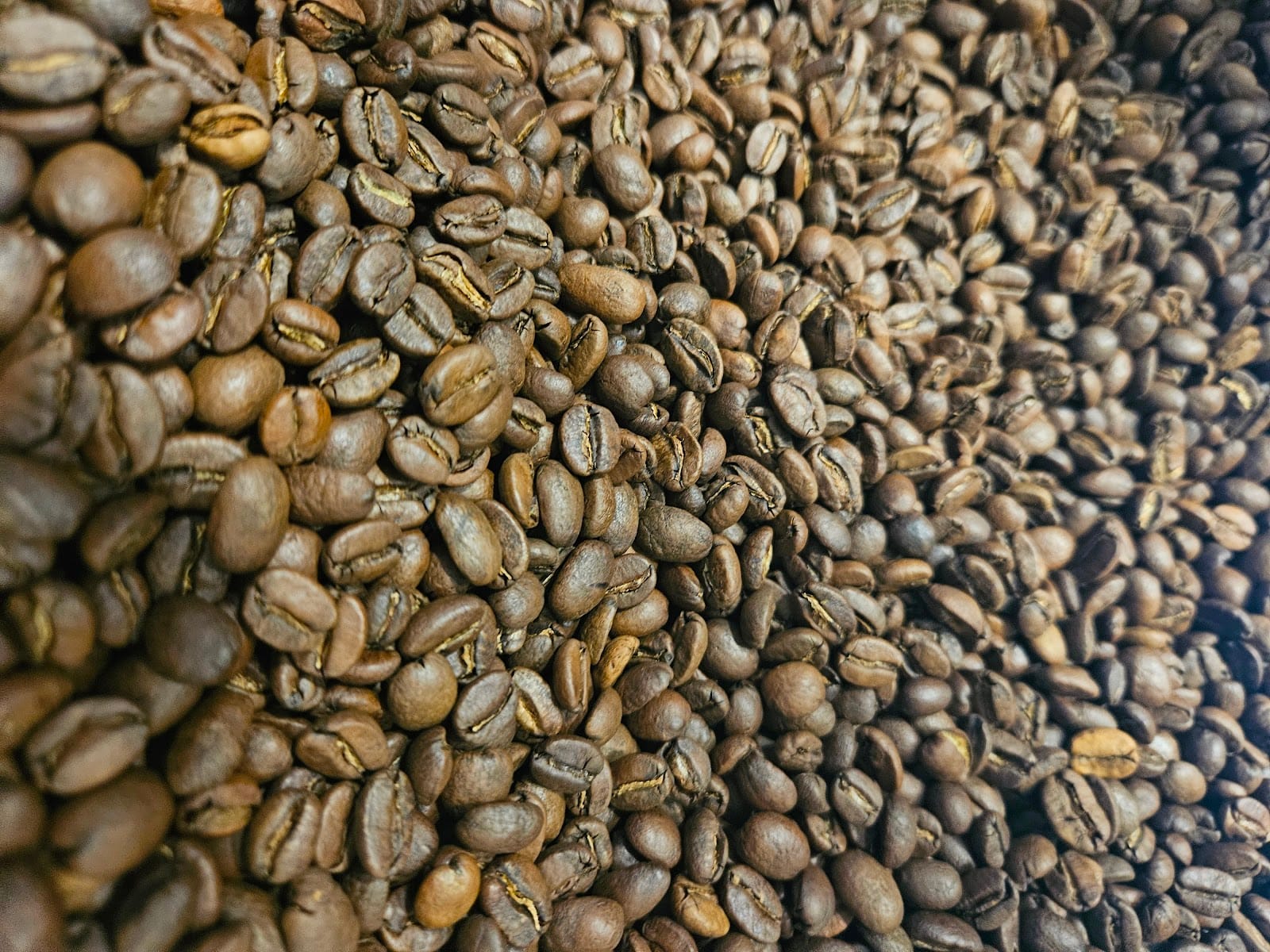 Pool Six Coffee Roasters